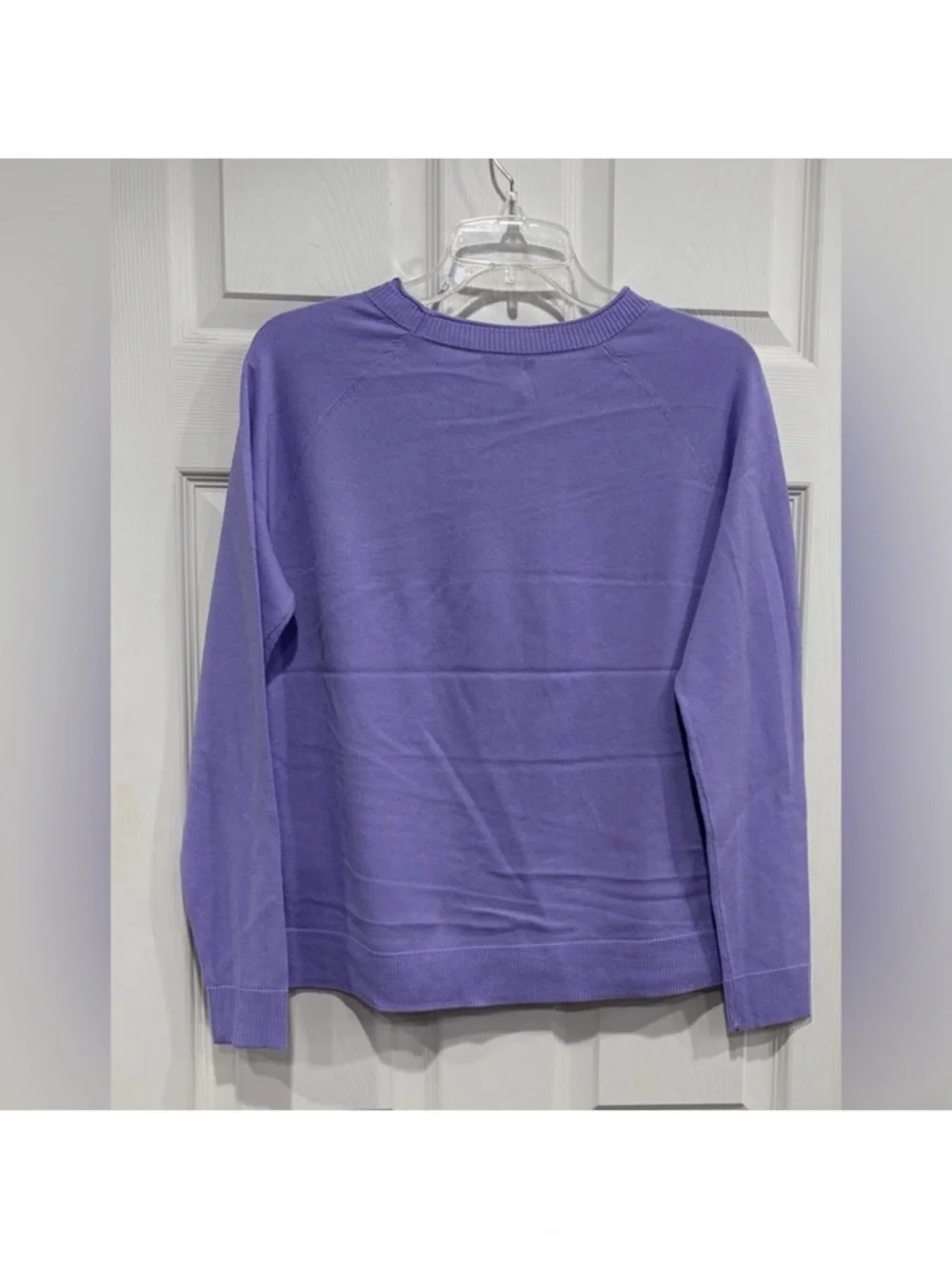 SmartWool Women's Large Edgewood Color-Block Crew Sweater Purple NWT Wool Blend